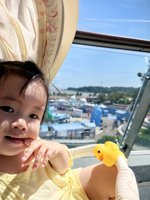 <h4>'IMG_20241003_114130.jpg' 1500 x 2000 | HUAWEI P60 | 2024-10-03 11:41:30</h4>