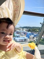 <h4>'IMG_20241003_114131.jpg' 1500 x 2000 | HUAWEI P60 | 2024-10-03 11:41:31</h4>