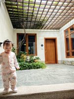 <h4>'IMG_20241006_101619.jpg' 1500 x 2000 | HUAWEI P60 | 2024-10-06 10:16:19</h4>