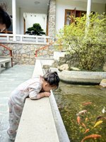 <h4>'IMG_20241006_101910.jpg' 1500 x 2000 | HUAWEI P60 | 2024-10-06 10:19:10</h4>