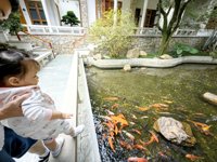 <h4>'IMG_20241006_102006.jpg' 2000 x 1500 | HUAWEI P60 | 2024-10-06 10:20:06</h4>