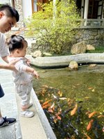 <h4>'IMG_20241006_102144.jpg' 1500 x 2000 | HUAWEI P60 | 2024-10-06 10:21:44</h4>