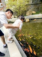 <h4>'IMG_20241006_102149.jpg' 1500 x 2000 | HUAWEI P60 | 2024-10-06 10:21:49</h4>