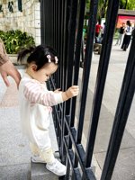 <h4>'IMG_20241026_103906.jpg' 1500 x 2000 | HUAWEI P60 | 2024-10-26 10:39:06</h4>