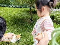 <h4>'IMG_20241026_104538.jpg' 2000 x 1500 | HUAWEI P60 | 2024-10-26 10:45:38</h4>