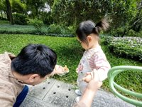 <h4>'IMG_20241026_104542.jpg' 2000 x 1500 | HUAWEI P60 | 2024-10-26 10:45:42</h4>