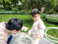 <h4>'IMG_20241026_104544.jpg' 2000 x 1500 | HUAWEI P60 | 2024-10-26 10:45:44</h4>