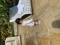 <h4>'IMG_9288.JPG' 2000 x 1500 | iPhone 11 Pro | 2024-10-02 10:43:06</h4>