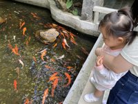 <h4>'IMG_9680.JPG' 2000 x 1500 | iPhone 11 Pro | 2024-10-06 10:06:50</h4>