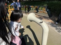 <h4>'IMG_0331.JPG' 1999 x 1500 | iPhone 16 Pro | 2024-11-23 10:56:33</h4>