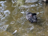 <h4>'IMG_0791.JPG' 2000 x 1500 | iPhone 16 Pro | 2024-11-30 11:19:18</h4>