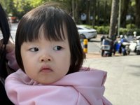 <h4>'IMG_0799.JPG' 2000 x 1500 | iPhone 16 Pro | 2024-11-30 11:24:31</h4>