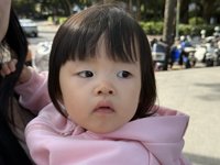 <h4>'IMG_0800.JPG' 2000 x 1500 | iPhone 16 Pro | 2024-11-30 11:24:34</h4>