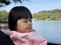 <h4>'IMG_0802.JPG' 2000 x 1500 | iPhone 16 Pro | 2024-11-30 11:24:58</h4>