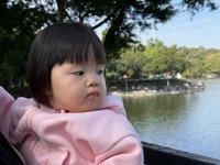 <h4>'IMG_0803.JPG' 2000 x 1500 | iPhone 16 Pro | 2024-11-30 11:25:02</h4>