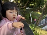 <h4>'IMG_0804.JPG' 2000 x 1500 | iPhone 16 Pro | 2024-11-30 11:25:16</h4>