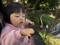 <h4>'IMG_0805.JPG' 2000 x 1500 | iPhone 16 Pro | 2024-11-30 11:25:18</h4>