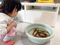 <h4>'IMG_20241110_104030.jpg' 2000 x 1500 | HUAWEI P60 | 2024-11-10 10:40:30</h4>