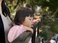 <h4>'IMG_E0806.JPG' 2000 x 1500 | iPhone 16 Pro | 2024-11-30 11:25:39</h4>