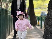 <h4>'IMG_E0816.JPG' 2000 x 1500 | iPhone 16 Pro | 2024-11-30 11:30:46</h4>