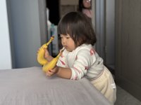 <h4>'IMG_E0837.JPG' 2000 x 1500 | iPhone 16 Pro | 2024-11-30 13:40:09</h4>