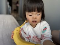 <h4>'IMG_E0839.JPG' 1999 x 1500 | iPhone 16 Pro | 2024-11-30 13:40:26</h4>