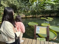 <h4>'IMG_0878.JPG' 1999 x 1500 | iPhone 16 Pro | 2024-12-07 10:15:26</h4>