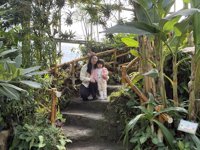 <h4>'IMG_0883.JPG' 2000 x 1500 | iPhone 16 Pro | 2024-12-07 10:18:18</h4>