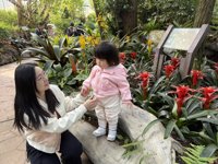 <h4>'IMG_0894.JPG' 1999 x 1500 | iPhone 16 Pro | 2024-12-07 10:23:53</h4>