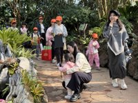 <h4>'IMG_0912.JPG' 2000 x 1500 | iPhone 16 Pro | 2024-12-07 10:29:15</h4>