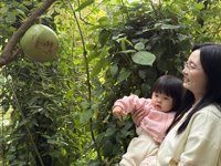 <h4>'IMG_0940.JPG' 2000 x 1500 | iPhone 16 Pro | 2024-12-07 10:40:27</h4>