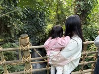 <h4>'IMG_0963.JPG' 1999 x 1500 | iPhone 16 Pro | 2024-12-07 10:49:11</h4>