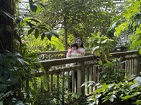 <h4>'IMG_0980.JPG' 2000 x 1500 | iPhone 16 Pro | 2024-12-07 10:54:17</h4>