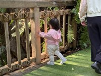 <h4>'IMG_0981.JPG' 2000 x 1500 | iPhone 16 Pro | 2024-12-07 10:55:00</h4>