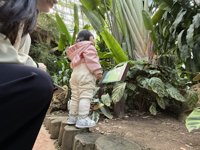 <h4>'IMG_1004.JPG' 2000 x 1500 | iPhone 16 Pro | 2024-12-07 11:03:30</h4>