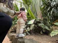 <h4>'IMG_1005.JPG' 2000 x 1500 | iPhone 16 Pro | 2024-12-07 11:03:33</h4>