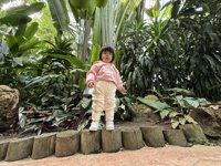 <h4>'IMG_1007.JPG' 2000 x 1500 | iPhone 16 Pro | 2024-12-07 11:03:44</h4>