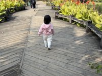 <h4>'IMG_1016.JPG' 2000 x 1500 | iPhone 16 Pro | 2024-12-07 11:08:47</h4>