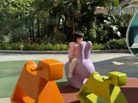 <h4>'IMG_1052.JPG' 2000 x 1500 | iPhone 16 Pro | 2024-12-08 11:34:45</h4>