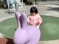 <h4>'IMG_1054.JPG' 2000 x 1500 | iPhone 16 Pro | 2024-12-08 11:35:08</h4>