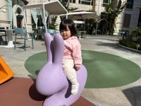 <h4>'IMG_1057.JPG' 1999 x 1500 | iPhone 16 Pro | 2024-12-08 11:36:00</h4>