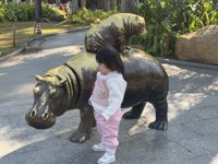 <h4>'IMG_1132.JPG' 2000 x 1500 | iPhone 16 Pro | 2024-12-21 10:43:16</h4>