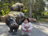 <h4>'IMG_1133.JPG' 2000 x 1500 | iPhone 16 Pro | 2024-12-21 10:43:26</h4>