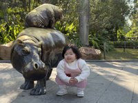 <h4>'IMG_1134.JPG' 2000 x 1500 | iPhone 16 Pro | 2024-12-21 10:43:27</h4>