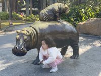 <h4>'IMG_1137.JPG' 2000 x 1500 | iPhone 16 Pro | 2024-12-21 10:43:41</h4>