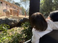 <h4>'IMG_1151.JPG' 1999 x 1500 | iPhone 16 Pro | 2024-12-21 11:30:31</h4>