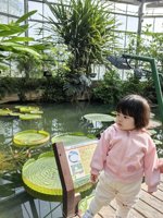 <h4>'IMG_20241207_101642.jpg' 1500 x 2000 | HUAWEI P60 | 2024-12-07 10:16:42</h4>