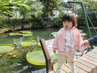 <h4>'IMG_20241207_101701.jpg' 2000 x 1500 | HUAWEI P60 | 2024-12-07 10:17:01</h4>