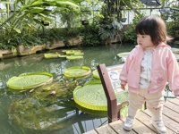 <h4>'IMG_20241207_101706.jpg' 2000 x 1500 | HUAWEI P60 | 2024-12-07 10:17:06</h4>