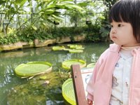 <h4>'IMG_20241207_101709.jpg' 2000 x 1500 | HUAWEI P60 | 2024-12-07 10:17:09</h4>